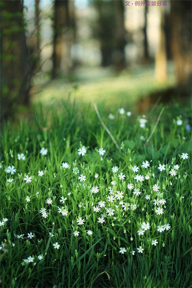 美輪美奐自然綠，綠色控如何奢華過一生？