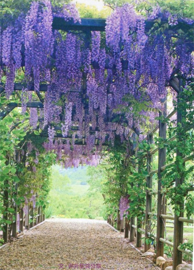 等我們老了，就在這樣的家居環(huán)境里過！