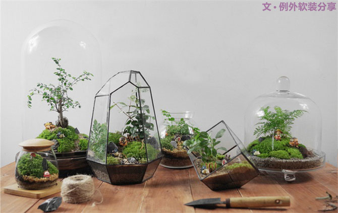 別再花錢買普通的花盆了，這才是種花神器！