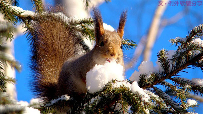 深圳又雙叒叕要入冬了，這次成功登陸？