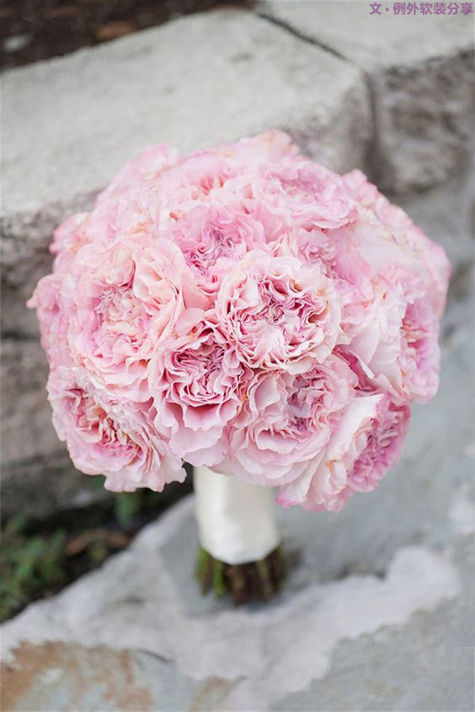 設(shè)計師揭秘8種適合冬季擺放的鮮花！