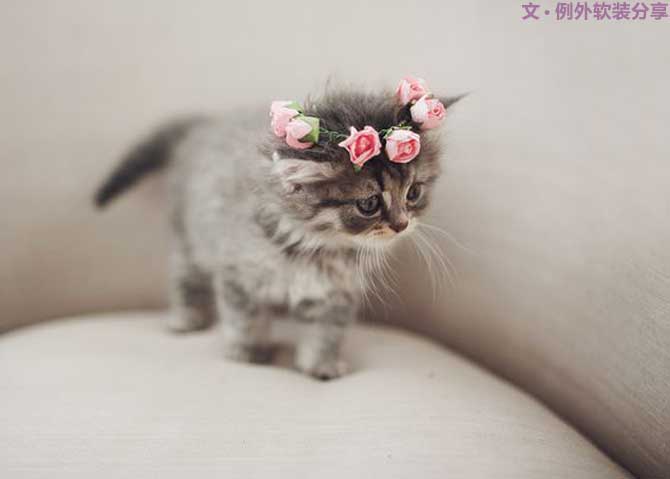 有了這五個軟裝設(shè)計原則，還怕搭配出錯嗎？