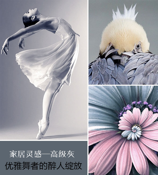 絕色搭配！這才是高級灰應(yīng)有的姿態(tài)！