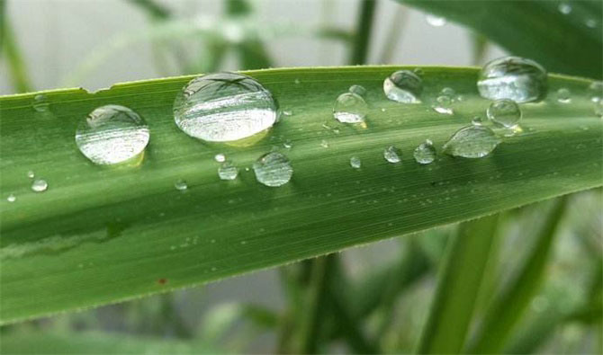 春風十里，不如室內(nèi)這抹綠“迷醉”你！-別墅設計,軟裝設計,室內(nèi)設計,豪宅設計,深圳例外軟裝設計公司