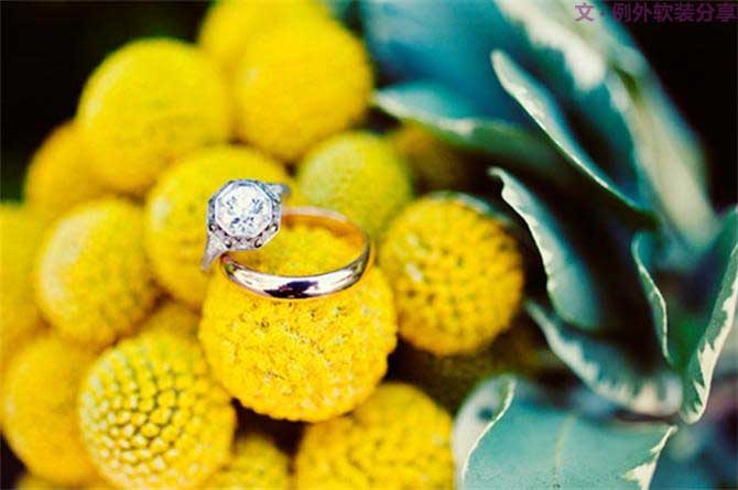 【例外.花箋記】金槌花，敲打在心間的小鼓槌！-別墅設(shè)計(jì),軟裝設(shè)計(jì),室內(nèi)設(shè)計(jì),豪宅設(shè)計(jì),深圳例外軟裝設(shè)計(jì)公司