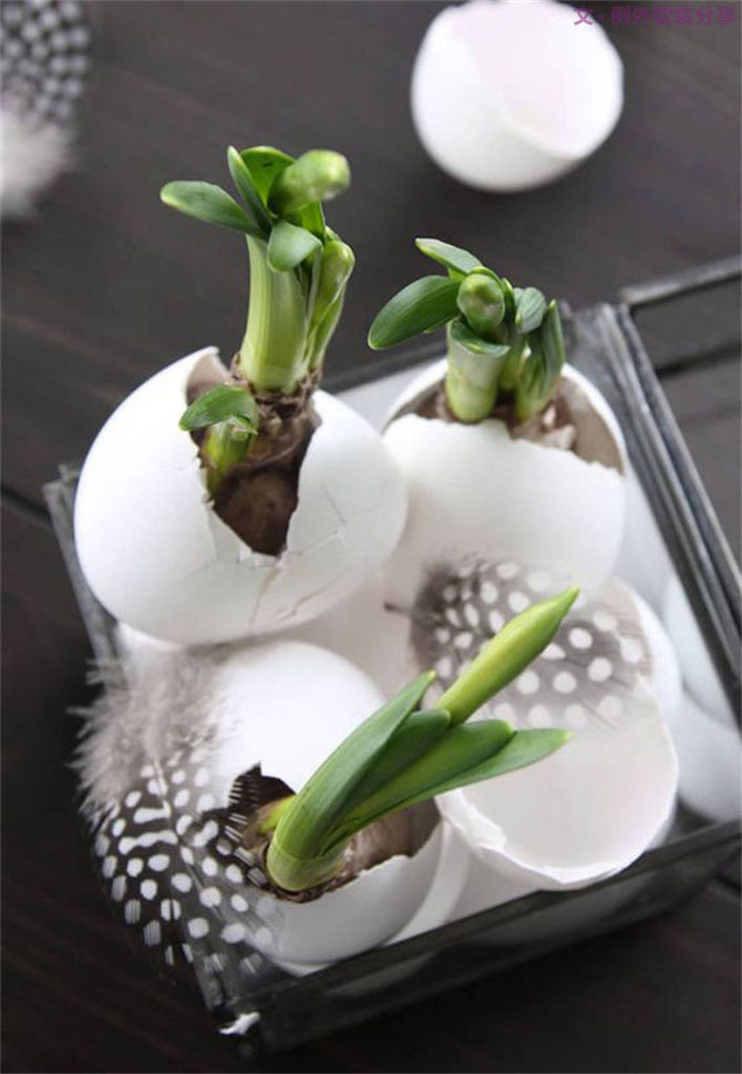 “她”不小心打碎了雞蛋，結(jié)果美翻了整個家！-別墅設(shè)計,軟裝設(shè)計,室內(nèi)設(shè)計,豪宅設(shè)計,深圳例外軟裝設(shè)計公司