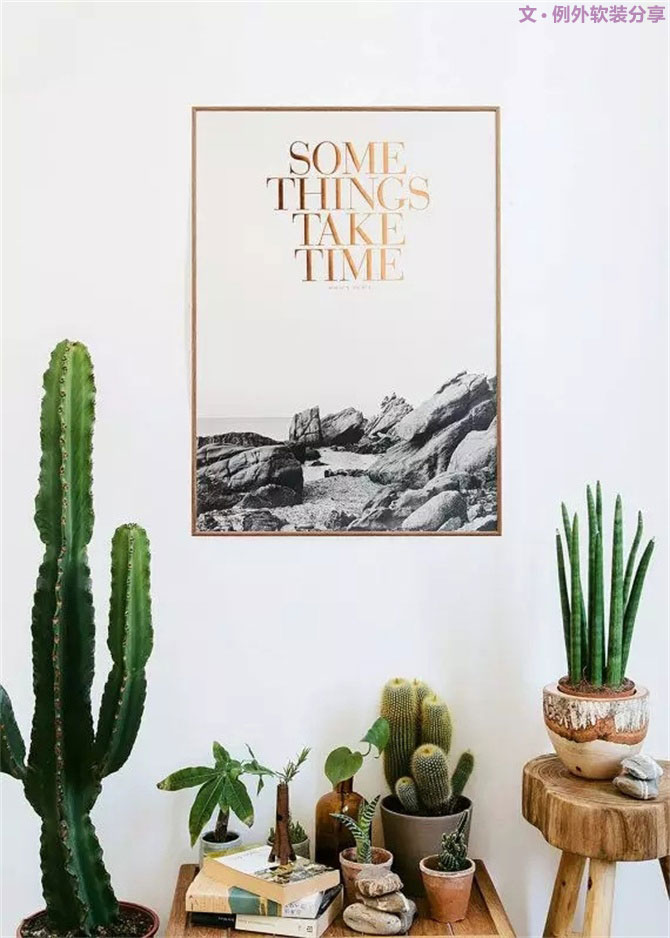 不能不知的家居綠植選擇、養(yǎng)護(hù)技巧，居家必備！-別墅設(shè)計(jì),軟裝設(shè)計(jì),室內(nèi)設(shè)計(jì),豪宅設(shè)計(jì),深圳例外軟裝設(shè)計(jì)公司