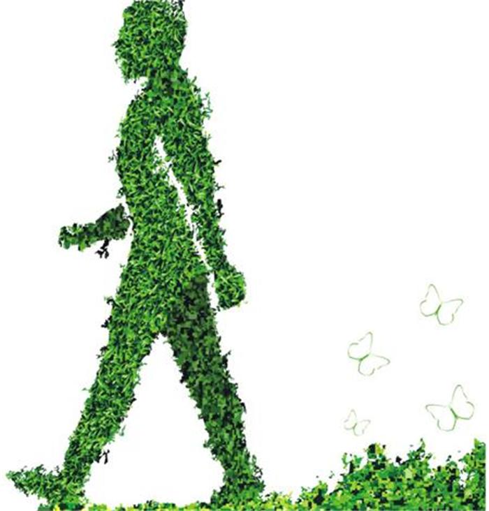 不能不知的11款強(qiáng)室內(nèi)吸毒植物，裝修房子必備-別墅設(shè)計(jì),軟裝設(shè)計(jì),室內(nèi)設(shè)計(jì),豪宅設(shè)計(jì),深圳例外軟裝設(shè)計(jì)公司