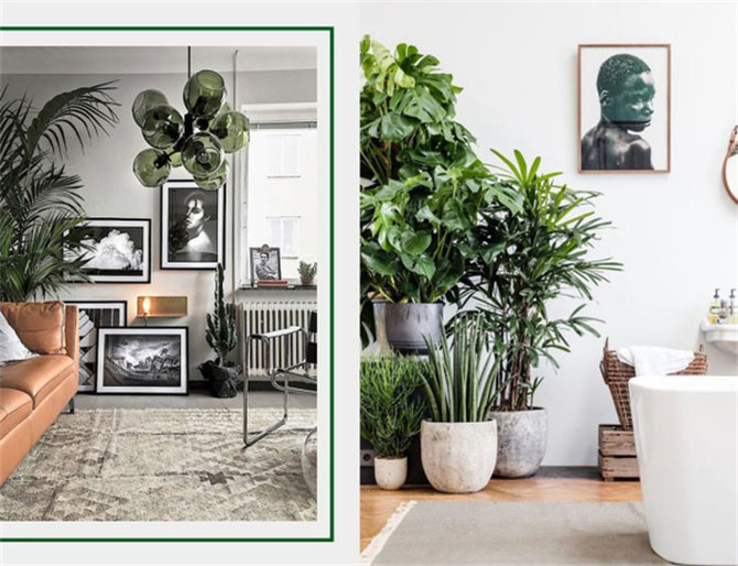 春風十里，不如室內(nèi)這抹綠“迷醉”你！-別墅設計,軟裝設計,室內(nèi)設計,豪宅設計,深圳例外軟裝設計公司