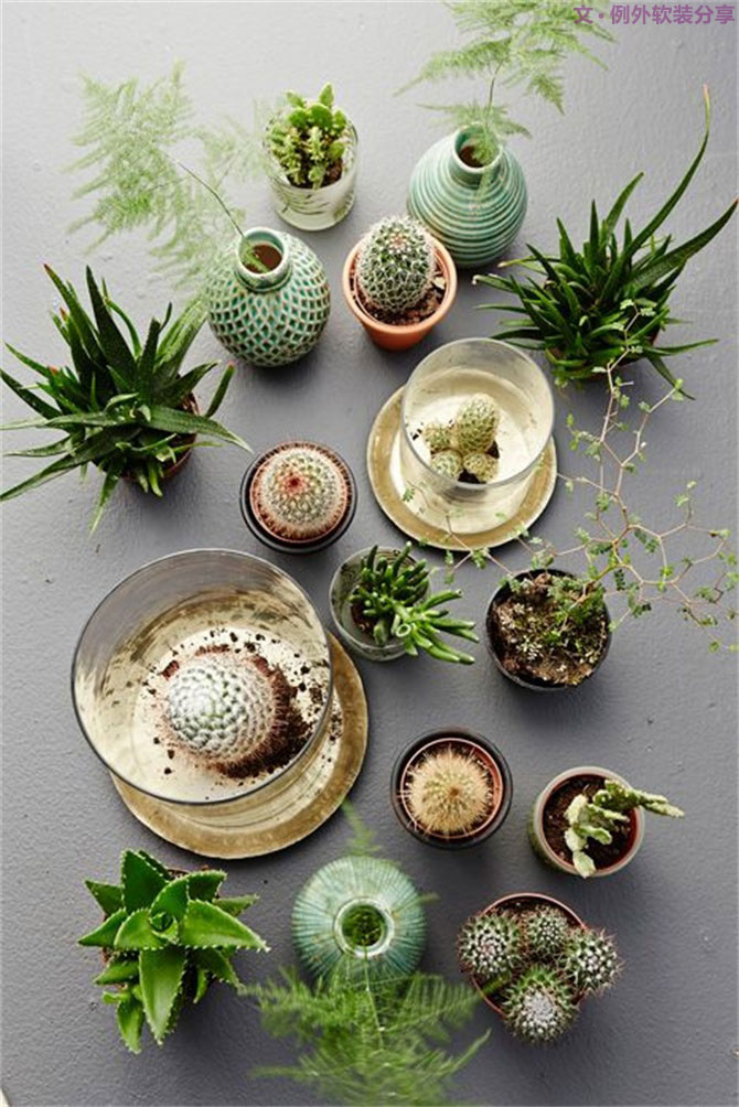 綠色大行其道，設(shè)計師們都愛得不要不要的-別墅設(shè)計,軟裝設(shè)計,室內(nèi)設(shè)計,豪宅設(shè)計,深圳例外軟裝設(shè)計公司