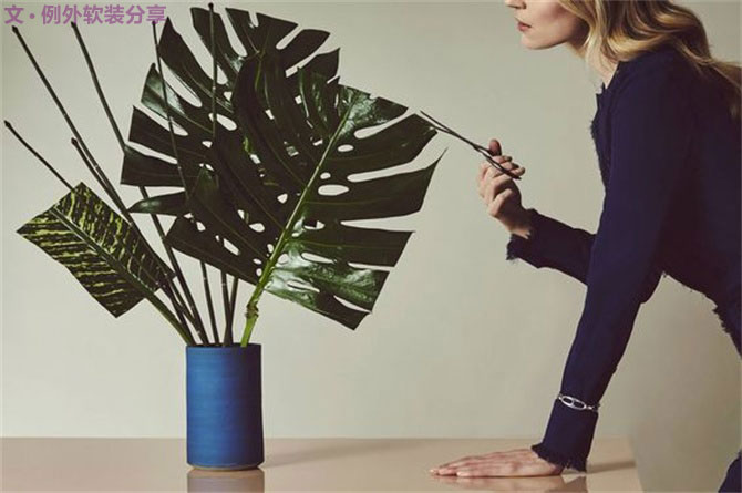 龜背竹遠(yuǎn)不止能去除甲醛，原來還有這么多作用！-別墅設(shè)計,軟裝設(shè)計,室內(nèi)設(shè)計,豪宅設(shè)計,深圳例外軟裝設(shè)計公司