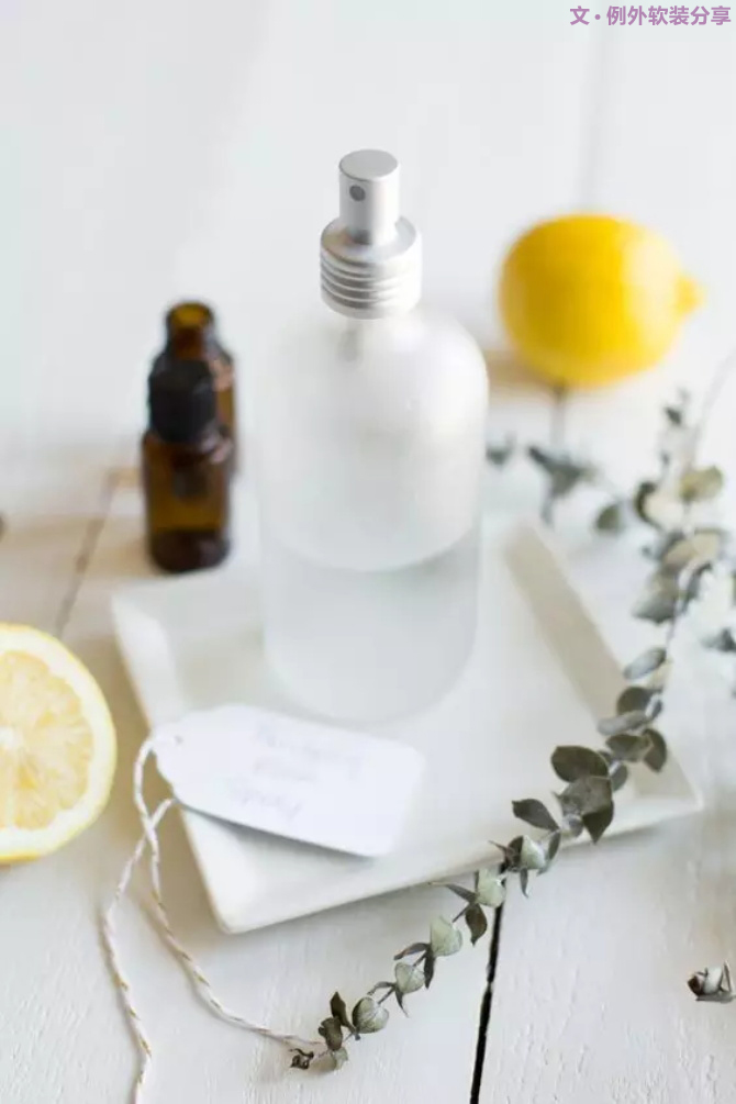 【例外.花箋記】尤加利，花藝界的百搭神葉-別墅設(shè)計(jì),軟裝設(shè)計(jì),室內(nèi)設(shè)計(jì),豪宅設(shè)計(jì),深圳例外軟裝設(shè)計(jì)公司