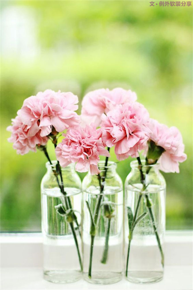 設(shè)計師揭秘8種適合冬季擺放的鮮花！-別墅設(shè)計,軟裝設(shè)計,室內(nèi)設(shè)計,豪宅設(shè)計,深圳例外軟裝設(shè)計公司