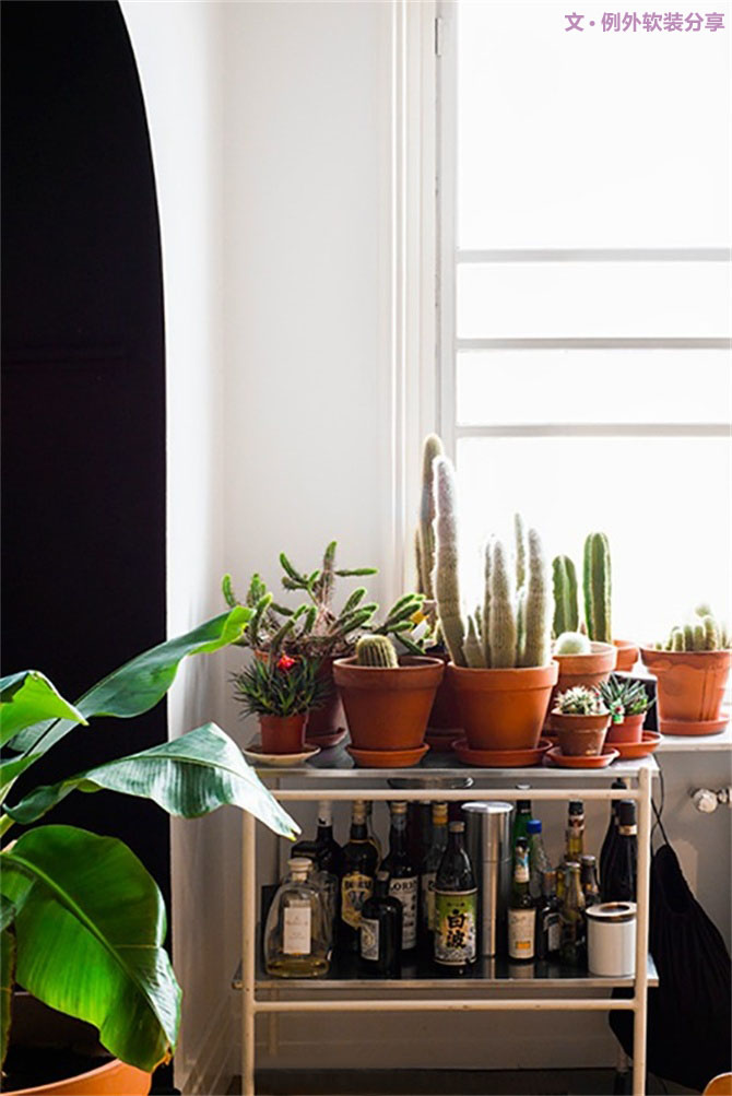 家里植物這樣擺，打造”另類“居室（一）-別墅設(shè)計(jì),軟裝設(shè)計(jì),室內(nèi)設(shè)計(jì),豪宅設(shè)計(jì),深圳例外軟裝設(shè)計(jì)公司