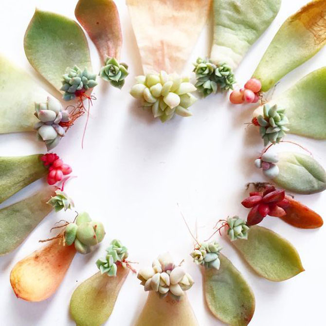 地球人都得了一種，看見“她”就想抱回家養(yǎng)的?。?別墅設(shè)計,軟裝設(shè)計,室內(nèi)設(shè)計,豪宅設(shè)計,深圳例外軟裝設(shè)計公司