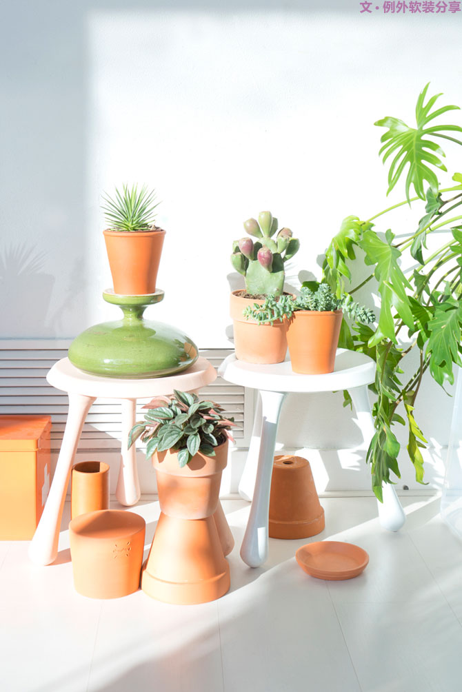 這些自帶天然氣質(zhì)的網(wǎng)紅綠植，都成了設計界的新寵兒！-別墅軟裝設計,軟裝設計,室內(nèi)軟裝設計,室內(nèi)設計,豪宅設計,深圳例外軟裝設計公司