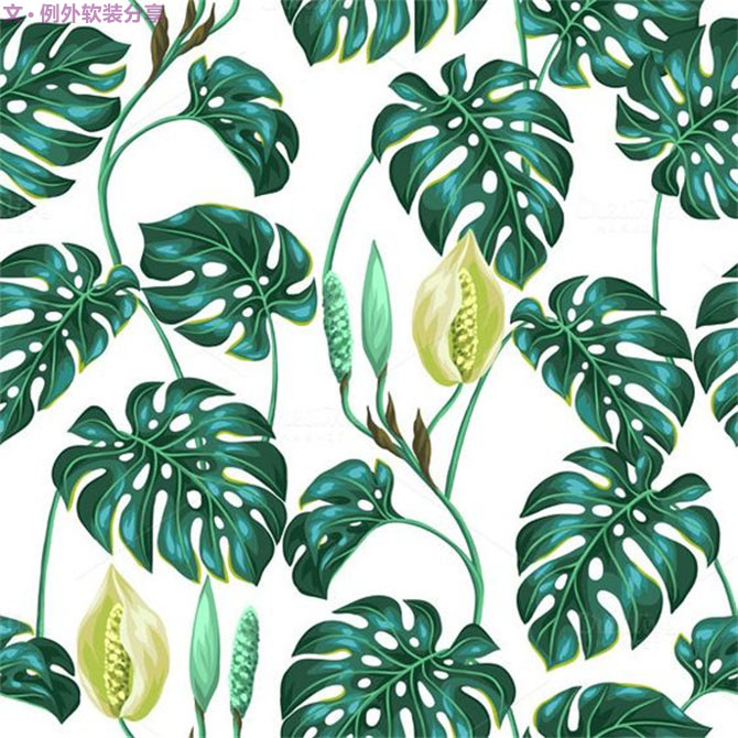 龜背竹遠(yuǎn)不止能去除甲醛，原來還有這么多作用！-別墅設(shè)計,軟裝設(shè)計,室內(nèi)設(shè)計,豪宅設(shè)計,深圳例外軟裝設(shè)計公司