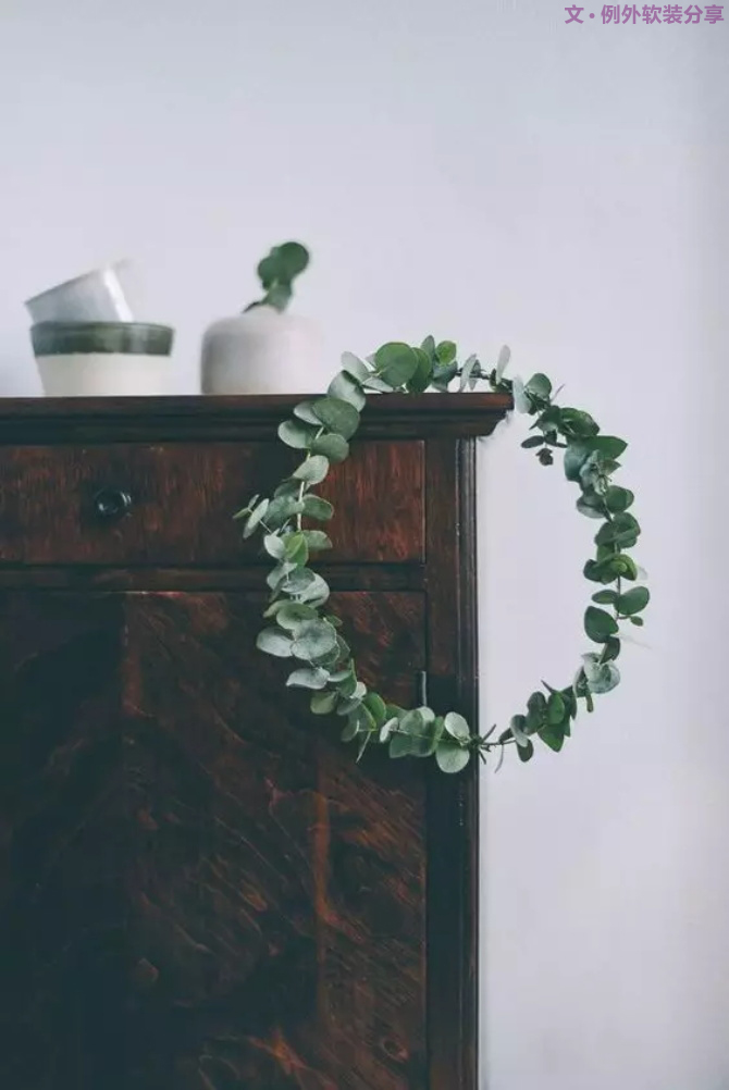 【例外.花箋記】尤加利，花藝界的百搭神葉-別墅設(shè)計(jì),軟裝設(shè)計(jì),室內(nèi)設(shè)計(jì),豪宅設(shè)計(jì),深圳例外軟裝設(shè)計(jì)公司