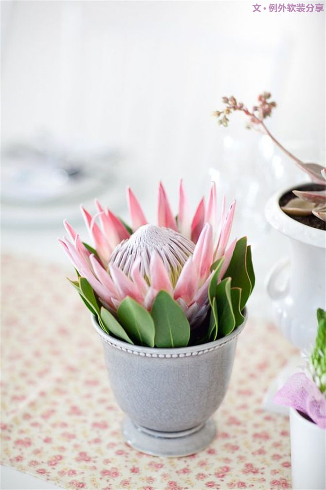 【例外·花箋記】沒有哪個姑娘能拒絕這樣一支奇葩！-別墅設(shè)計,軟裝設(shè)計,室內(nèi)設(shè)計,豪宅設(shè)計,深圳例外軟裝設(shè)計公司