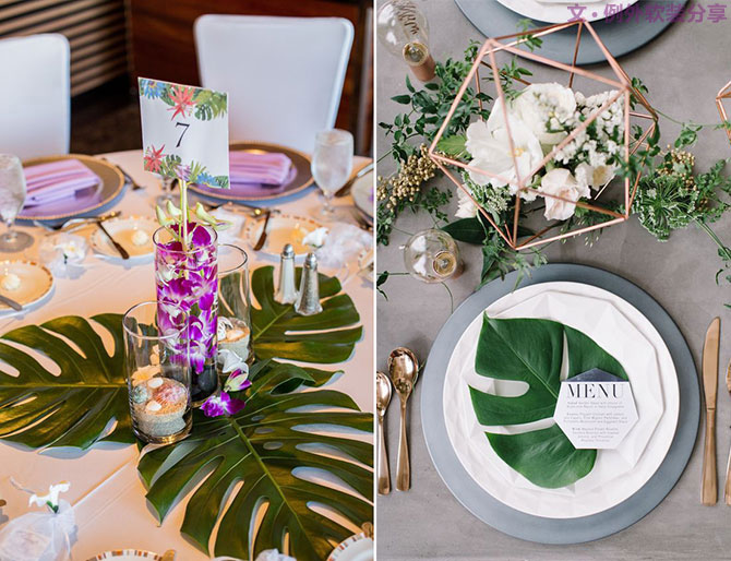 龜背竹遠(yuǎn)不止能去除甲醛，原來還有這么多作用！-別墅設(shè)計,軟裝設(shè)計,室內(nèi)設(shè)計,豪宅設(shè)計,深圳例外軟裝設(shè)計公司