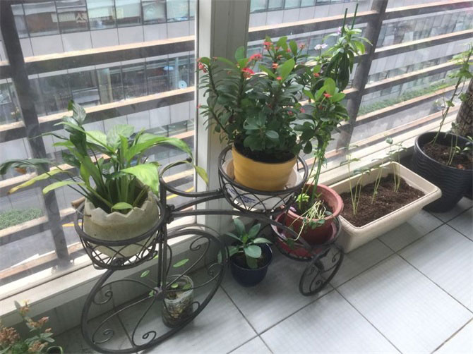 CCTV2《交換空間》收官之作--48小時，教你打造專屬的“秘密花園”-別墅設(shè)計(jì),軟裝設(shè)計(jì),室內(nèi)設(shè)計(jì),豪宅設(shè)計(jì),深圳例外軟裝設(shè)計(jì)公司