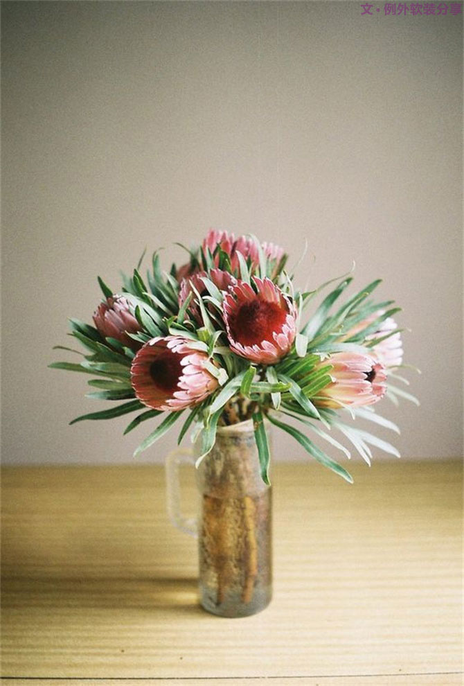 設(shè)計師揭秘8種適合冬季擺放的鮮花！-別墅設(shè)計,軟裝設(shè)計,室內(nèi)設(shè)計,豪宅設(shè)計,深圳例外軟裝設(shè)計公司