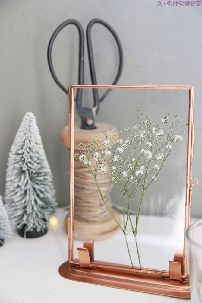 養(yǎng)不活仙人掌，卻硬生生把家里變成了小森林！-別墅軟裝設(shè)計,軟裝設(shè)計,室內(nèi)軟裝設(shè)計,室內(nèi)設(shè)計,豪宅設(shè)計,深圳例外軟裝設(shè)計公司