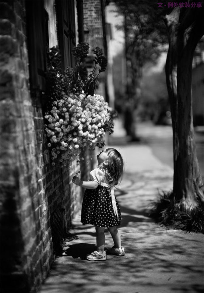 【例外·花箋記】洋牡丹，花叢中的人氣精靈-別墅設計,軟裝設計,室內(nèi)設計,豪宅設計,深圳例外軟裝設計公司