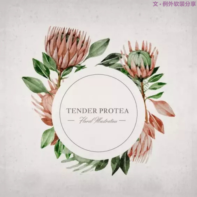 【例外·花箋記】沒有哪個姑娘能拒絕這樣一支奇葩！-別墅設(shè)計,軟裝設(shè)計,室內(nèi)設(shè)計,豪宅設(shè)計,深圳例外軟裝設(shè)計公司