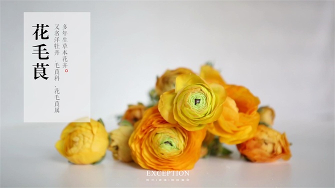 【幾分鐘.軟裝課堂】她用3分鐘搞定一個浪漫花球，就憑這些？-別墅設(shè)計,軟裝設(shè)計,室內(nèi)設(shè)計,豪宅設(shè)計,深圳例外軟裝設(shè)計公司