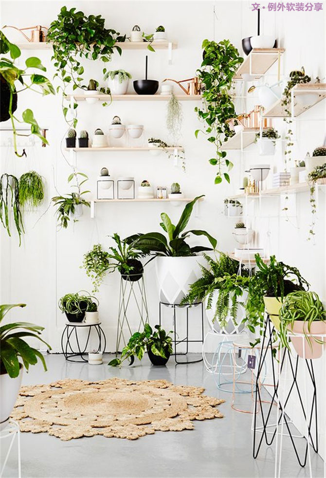 這種任性的綠植新玩法，你值得一試！-別墅設(shè)計(jì),軟裝設(shè)計(jì),室內(nèi)設(shè)計(jì),豪宅設(shè)計(jì),深圳例外軟裝設(shè)計(jì)公司