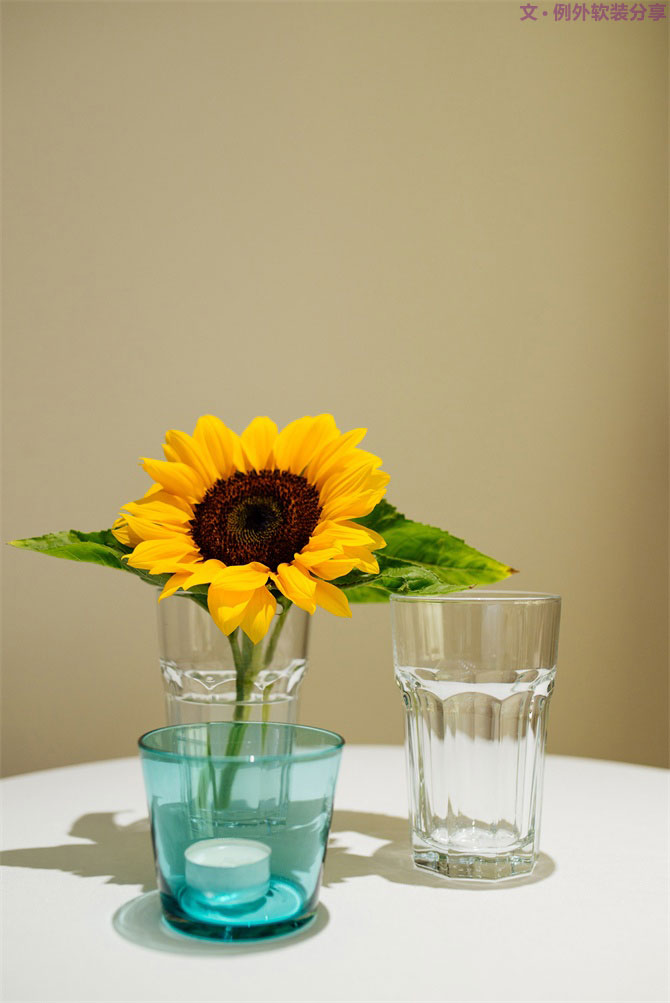 設(shè)計師揭秘8種適合冬季擺放的鮮花！-別墅設(shè)計,軟裝設(shè)計,室內(nèi)設(shè)計,豪宅設(shè)計,深圳例外軟裝設(shè)計公司