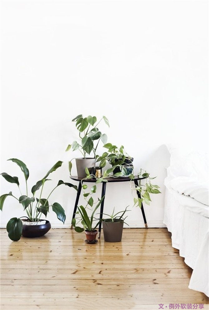 家里植物這樣擺，打造”另類“居室（一）-別墅設(shè)計(jì),軟裝設(shè)計(jì),室內(nèi)設(shè)計(jì),豪宅設(shè)計(jì),深圳例外軟裝設(shè)計(jì)公司