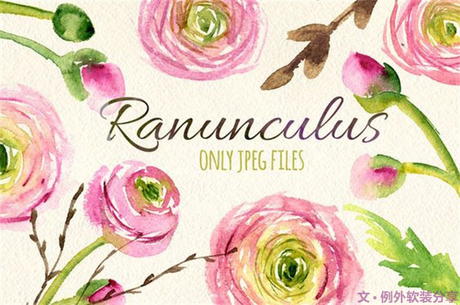 【例外·花箋記】洋牡丹，花叢中的人氣精靈-別墅設計,軟裝設計,室內(nèi)設計,豪宅設計,深圳例外軟裝設計公司