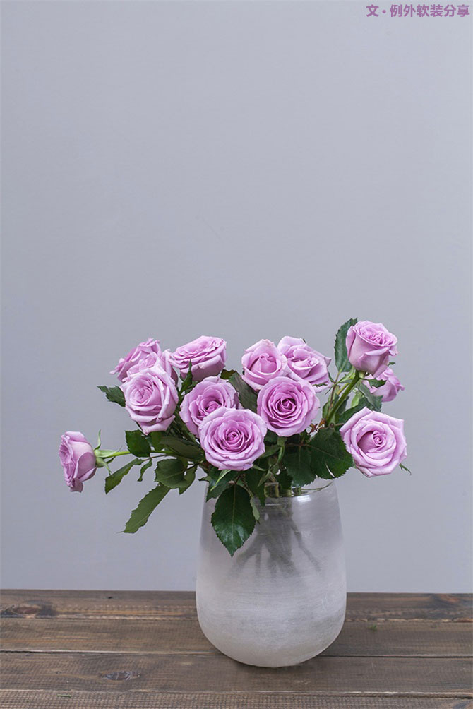 設(shè)計師揭秘8種適合冬季擺放的鮮花！-別墅設(shè)計,軟裝設(shè)計,室內(nèi)設(shè)計,豪宅設(shè)計,深圳例外軟裝設(shè)計公司