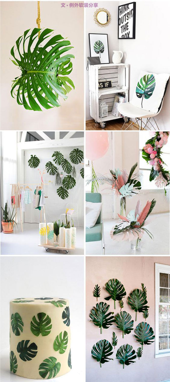 龜背竹遠(yuǎn)不止能去除甲醛，原來還有這么多作用！-別墅設(shè)計,軟裝設(shè)計,室內(nèi)設(shè)計,豪宅設(shè)計,深圳例外軟裝設(shè)計公司