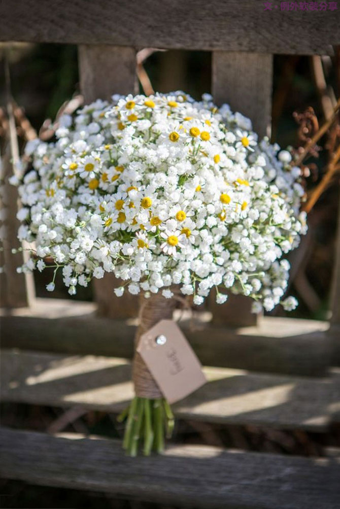 設(shè)計師揭秘8種適合冬季擺放的鮮花！-別墅設(shè)計,軟裝設(shè)計,室內(nèi)設(shè)計,豪宅設(shè)計,深圳例外軟裝設(shè)計公司