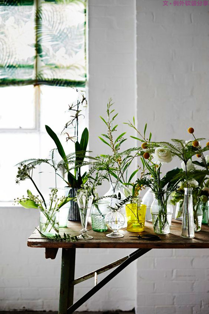 這些自帶天然氣質(zhì)的網(wǎng)紅綠植，都成了設計界的新寵兒！-別墅軟裝設計,軟裝設計,室內(nèi)軟裝設計,室內(nèi)設計,豪宅設計,深圳例外軟裝設計公司