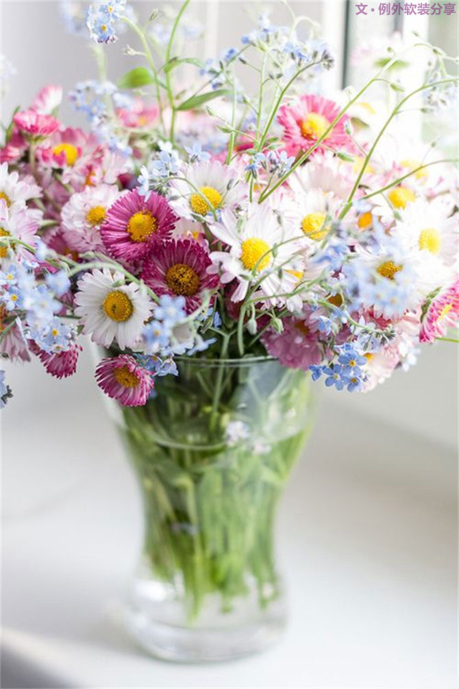 設(shè)計師揭秘8種適合冬季擺放的鮮花！-別墅設(shè)計,軟裝設(shè)計,室內(nèi)設(shè)計,豪宅設(shè)計,深圳例外軟裝設(shè)計公司