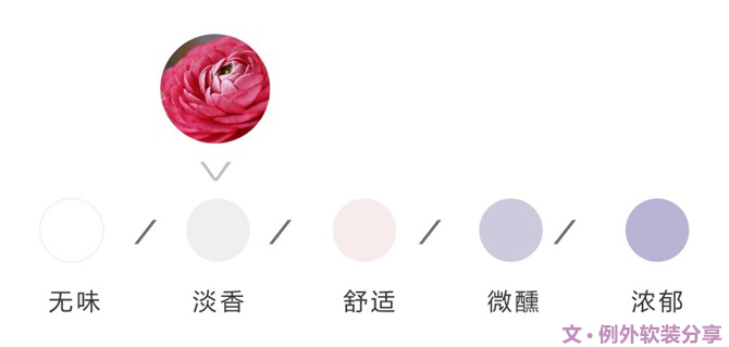 【例外·花箋記】洋牡丹，花叢中的人氣精靈-別墅設計,軟裝設計,室內(nèi)設計,豪宅設計,深圳例外軟裝設計公司