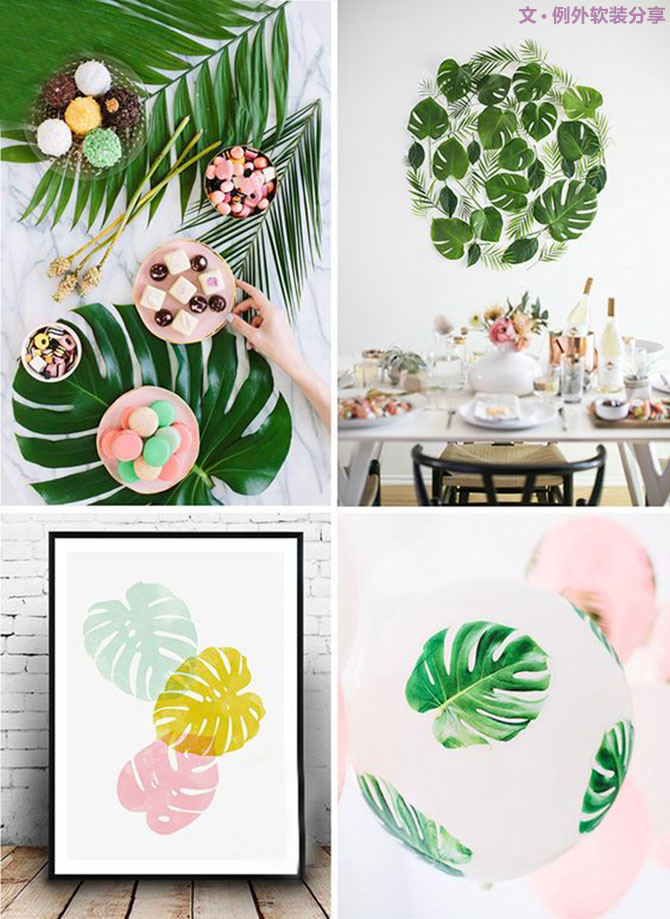 龜背竹遠(yuǎn)不止能去除甲醛，原來還有這么多作用！-別墅設(shè)計,軟裝設(shè)計,室內(nèi)設(shè)計,豪宅設(shè)計,深圳例外軟裝設(shè)計公司