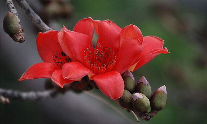 陽春三月，這些美景其實(shí)可以帶回家！-別墅設(shè)計(jì),軟裝設(shè)計(jì),室內(nèi)設(shè)計(jì),豪宅設(shè)計(jì),深圳例外軟裝設(shè)計(jì)公司