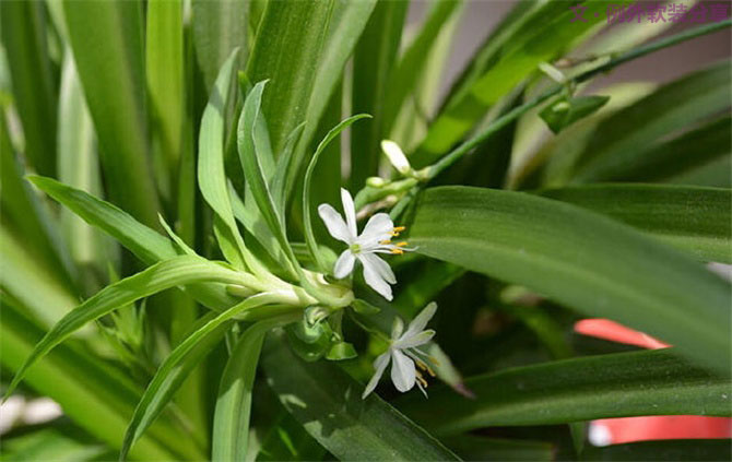 裝修后的房子多久可以入??？不看不知道！-別墅設(shè)計(jì),軟裝設(shè)計(jì),室內(nèi)設(shè)計(jì),豪宅設(shè)計(jì),深圳例外軟裝設(shè)計(jì)公司