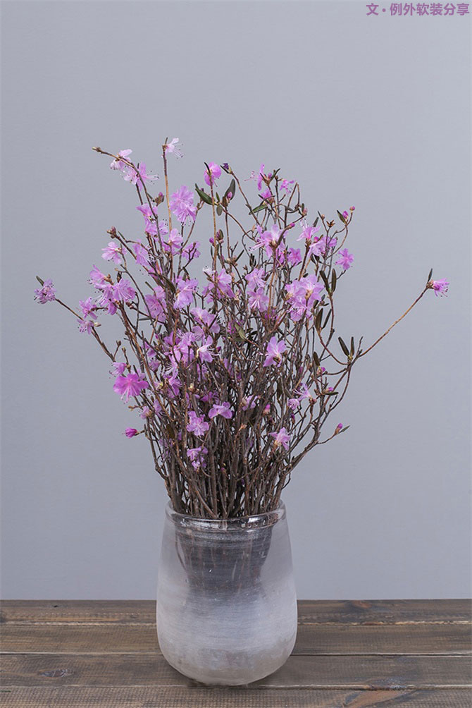 設(shè)計師揭秘8種適合冬季擺放的鮮花！-別墅設(shè)計,軟裝設(shè)計,室內(nèi)設(shè)計,豪宅設(shè)計,深圳例外軟裝設(shè)計公司