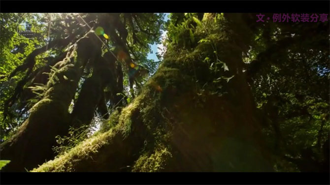 這個(gè)夏天美的遇見(jiàn)--魅力陳設(shè)·十雅談 創(chuàng)意擺設(shè)秀-別墅設(shè)計(jì),軟裝設(shè)計(jì),室內(nèi)設(shè)計(jì),豪宅設(shè)計(jì),深圳例外軟裝設(shè)計(jì)公司