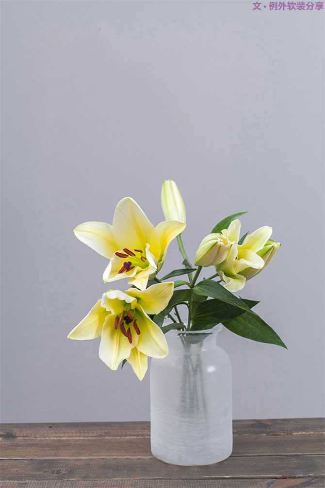 設(shè)計師揭秘8種適合冬季擺放的鮮花！-別墅設(shè)計,軟裝設(shè)計,室內(nèi)設(shè)計,豪宅設(shè)計,深圳例外軟裝設(shè)計公司