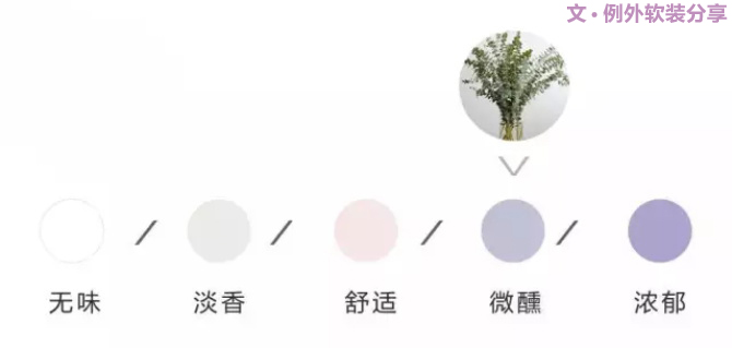 【例外.花箋記】尤加利，花藝界的百搭神葉-別墅設(shè)計(jì),軟裝設(shè)計(jì),室內(nèi)設(shè)計(jì),豪宅設(shè)計(jì),深圳例外軟裝設(shè)計(jì)公司