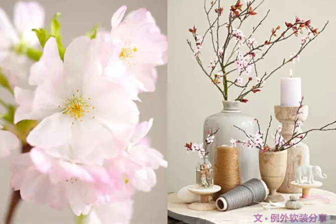 這才叫真正的花藝，你那只算小盆綠植（下）